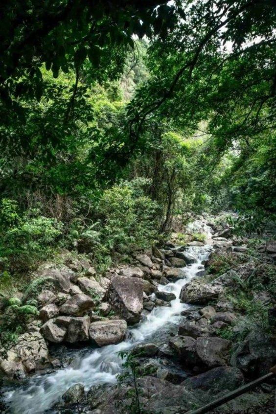 逃出田园庭院